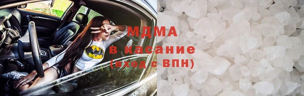 индика Дмитров