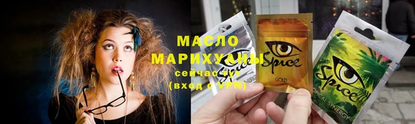 индика Дмитров