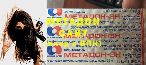 индика Дмитров
