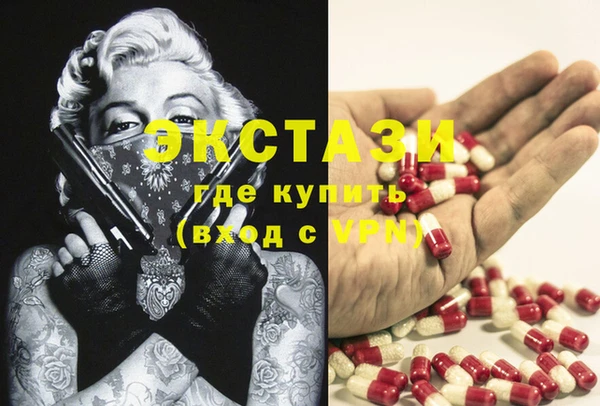индика Дмитров