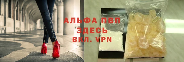 индика Дмитров