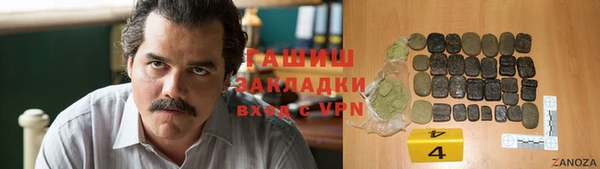 индика Дмитров