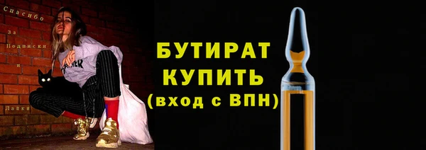 индика Дмитров