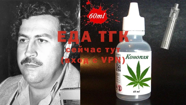 индика Дмитров