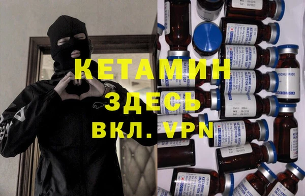 индика Дмитров