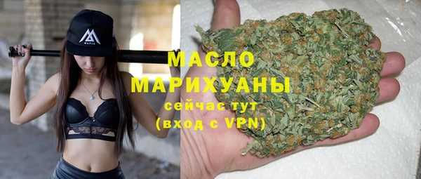 индика Дмитров