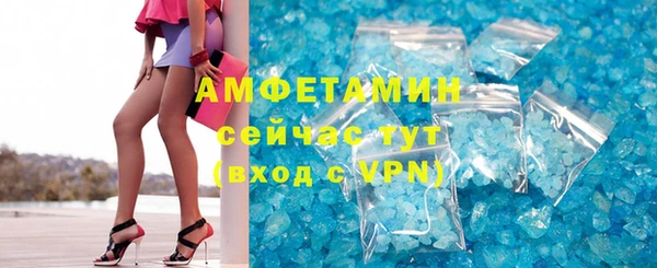 индика Дмитров