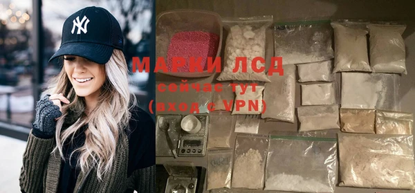 индика Дмитров