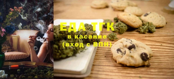 индика Дмитров