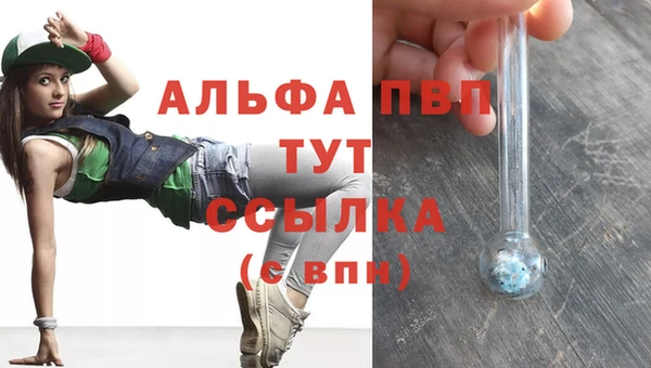 индика Дмитров
