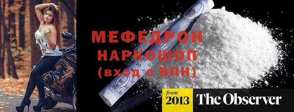 индика Дмитров