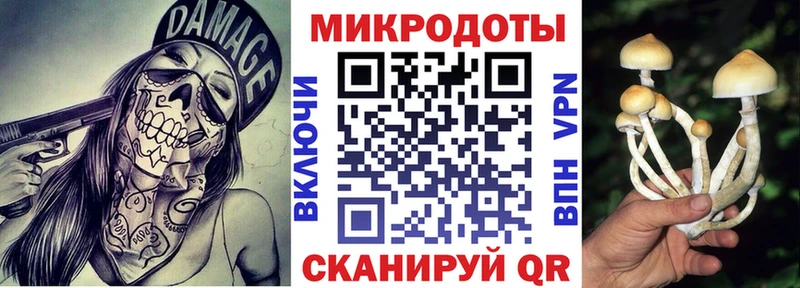 Купить закладки  Бородино  Псилоцибиновые грибы Cubensis 